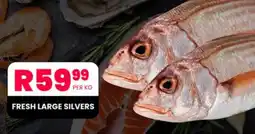 Take 'n Pay FRESH LARGE SILVERS offer