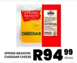 Take 'n Pay SPRING MEADOW CHEDDAR CHEESE offer