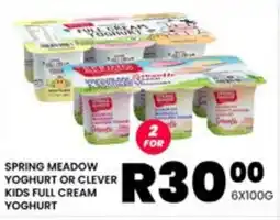 Take 'n Pay SPRING MEADOW YOGHURT OR CLEVER KIDS FULL CREAM YOGHURT offer