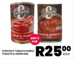 Take 'n Pay EVERYDAY TOMATO PUREE/ TOMATO & ONION MIX offer