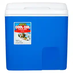Pick n Pay Liquor Addis 26L Coolcat Blue offer