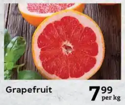 Oxford Freshmarket Grapefruit offer