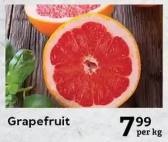Oxford Freshmarket Grapefruit offer