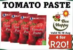 Foodeez TOMATO PASTE offer
