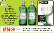 Tanqueray Premium Gin-2 x 750ml
