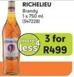 Makro RICHELIEU Brandy offer