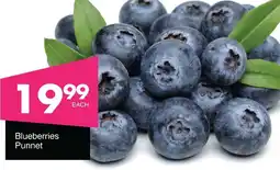 Save Hyper Blueberries Punnet offer