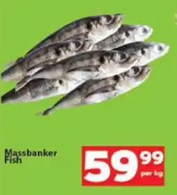 Check Save Massbanker Fish offer