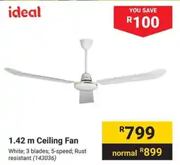 Builders Warehouse Ceiling Fan offer