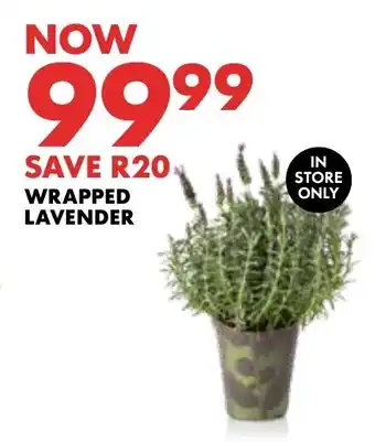 Woolworths Wrapped lavender offer