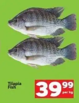 Check Save Tilapia Fish offer