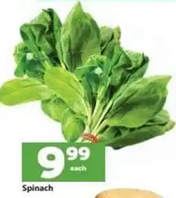 Check Save Spinach offer