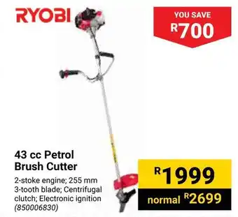 Builders Warehouse RYOBI 43 cc Petrol Brush Cutter offer