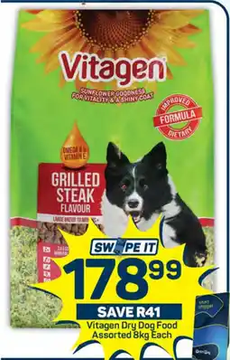Pick n Pay Hypermarket Vitagen Dry Dog Food Assorted offer