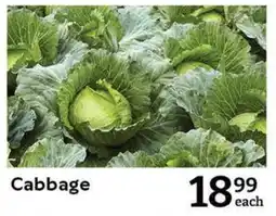 Oxford Freshmarket Cabbage offer