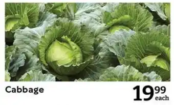 Oxford Freshmarket Cabbage offer