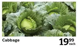 Oxford Freshmarket Cabbage offer