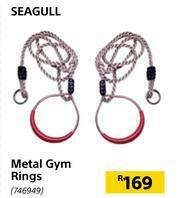 Seagull Metal Gym Rings