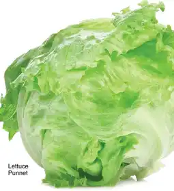 Save Hyper Lettuce Punnet offer