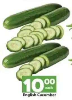 English Cucumber