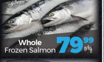 Take 'n Pay Whole Frozen Salmon per kg offer