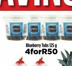 Blueberries 4