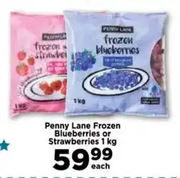 Food Lover's Market Penny Lane Frozen Blueberries or Strawberries offer