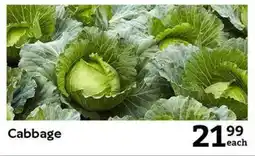 Oxford Freshmarket Cabbage offer