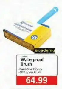 Waterproof brush