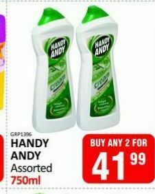 handy andy assorted