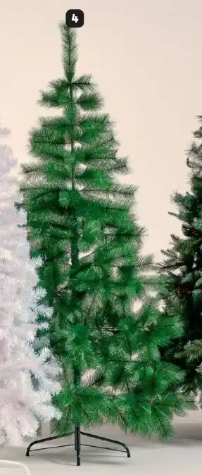 Makro Bottle Brush Tree offer