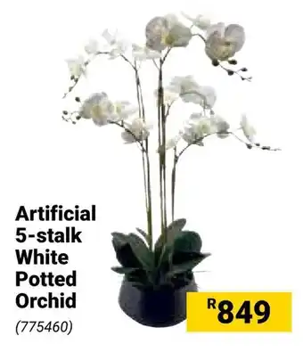 Builders Warehouse Artificial 5-stalk White Potted Orchid offer