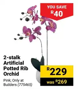 Builders Warehouse 2-stalk Artificial Potted Rib Orchid offer