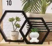 3 Piece Hexagon Wire Back Shelves