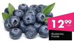 Save Hyper Blueberries Punnet offer