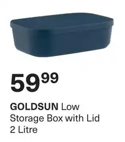 Pick n Pay GOLDSUN Low Storage Box with Lid offer