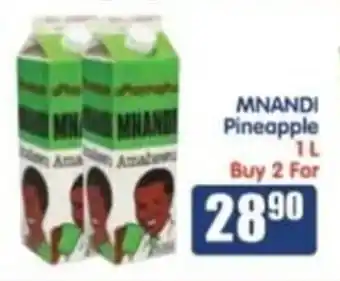 Saverite MNANDI Pineapple offer