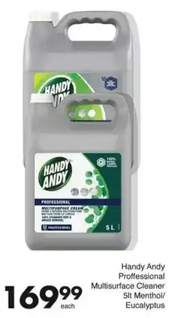 Save Handy Andy Proffessional Multisurface Cleaner Menthol/ Eucalyptus offer