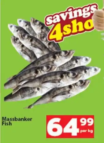 Check Save Massbanker Fish offer