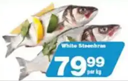 Check Star White Steenbras offer