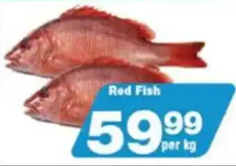 Check Star Red Fish offer