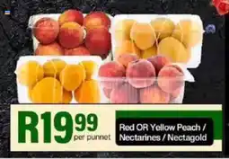 Take 'n Pay Red OR Yellow Peach/ Nectarines/Nectagold offer