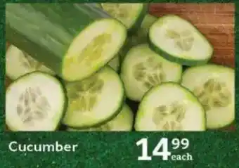 Oxford Freshmarket Cucumber offer