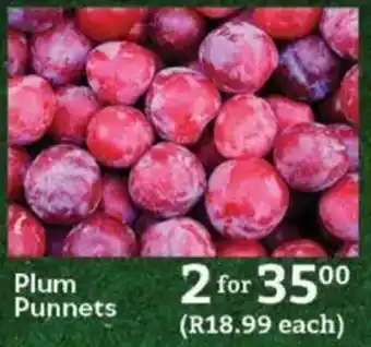 Oxford Freshmarket Plum Punnets offer