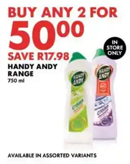 Woolworths Handy andy range offer