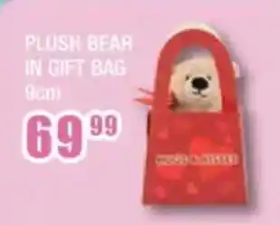 The Crazy Store Plush bear in gift bag offer