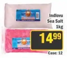 J&E Cash and Carry Indlovu Sea Salt offer