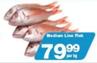 Check Star Medium Line Fish offer