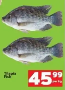 Check Save Tilapia Fish offer