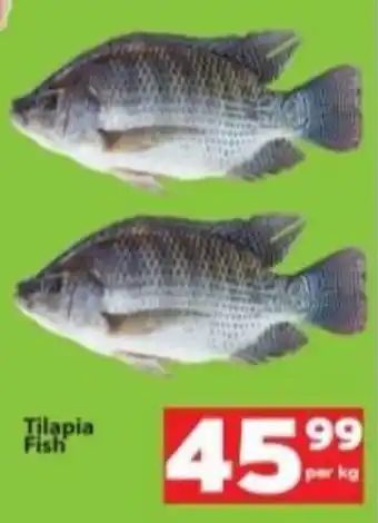 Check Save Tilapia Fish offer